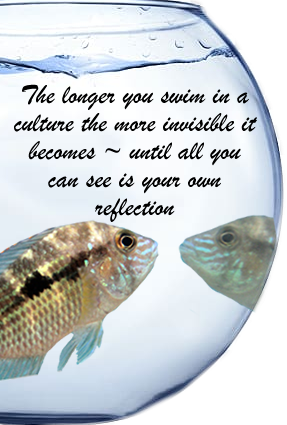 The longer you swim in a culture the more invisible it becomes ~ until all you can see if your own reflection